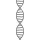 CHROMOSOME INDEX